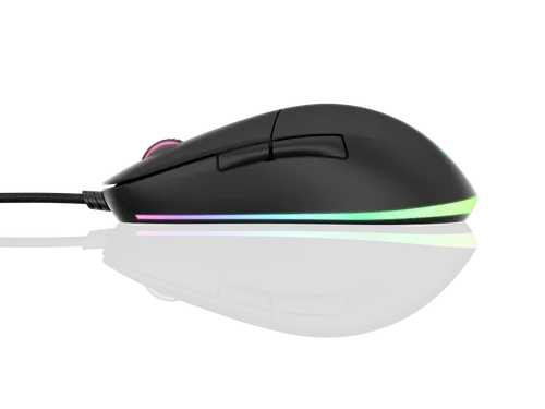 Gaming Mouse RGB
